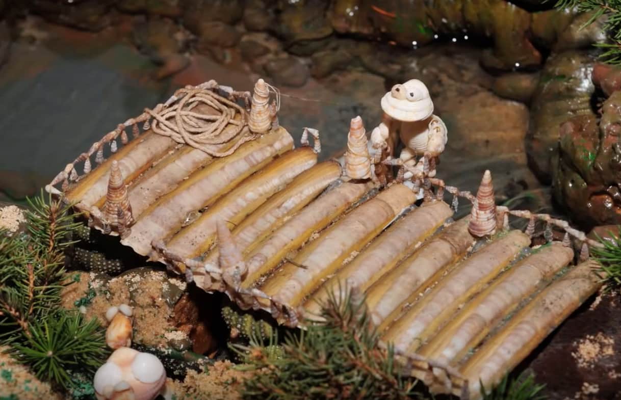 belén de conchas compostilla 3