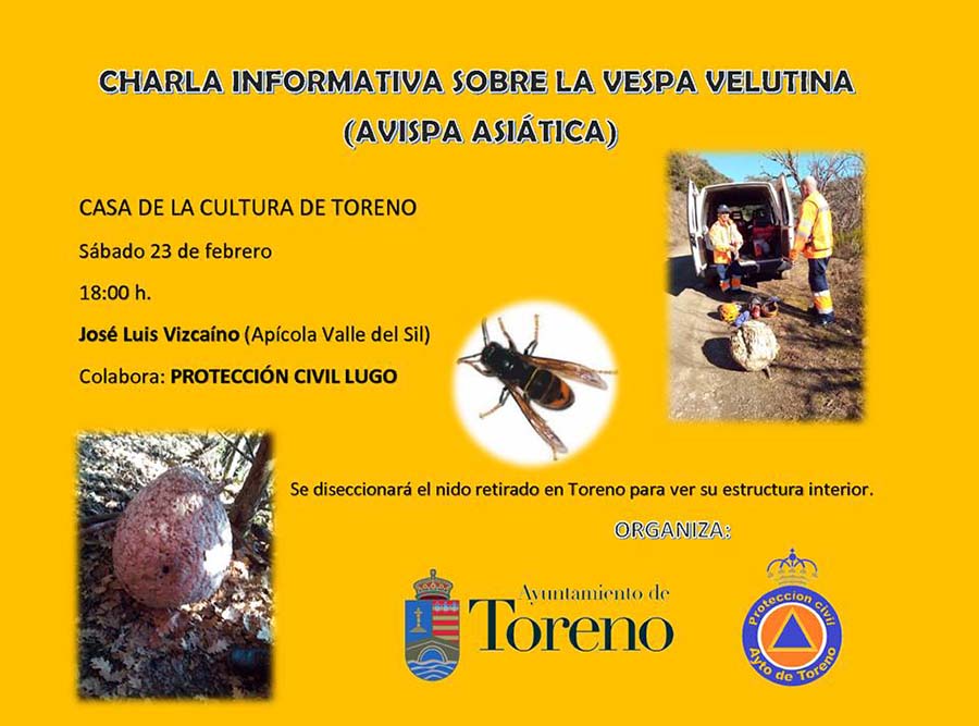 cartel charla avispa asiatica toreno el bierzo